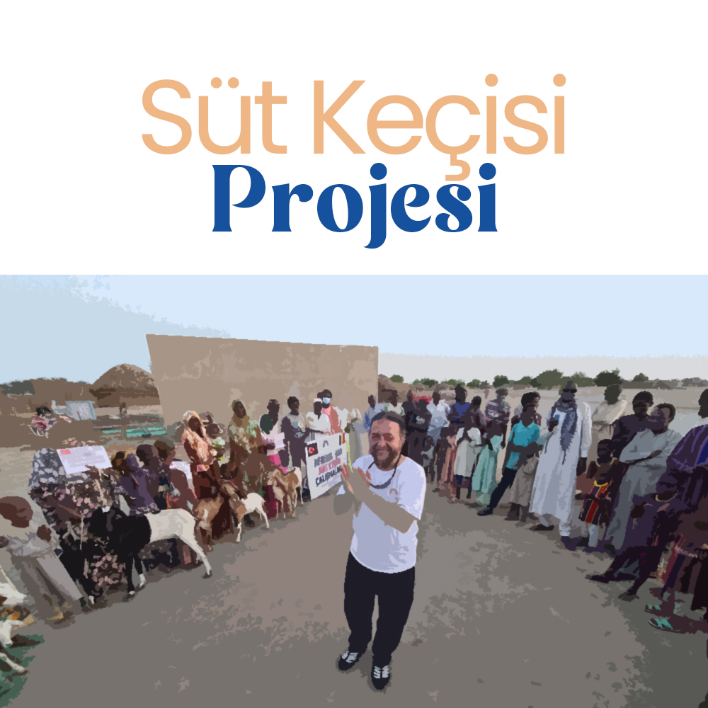 SÜT KEÇİSİ PROJESİ
